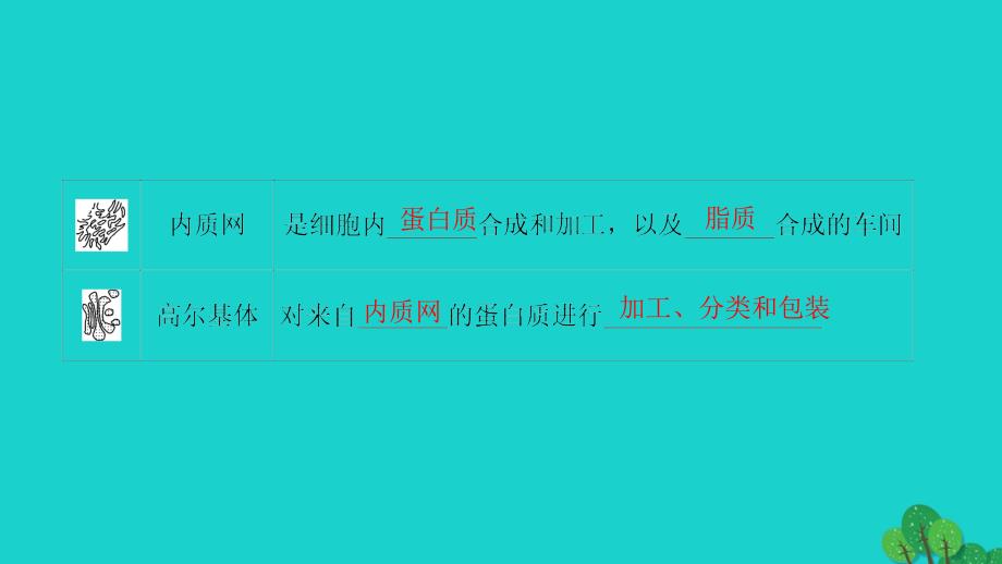 2016-2017学年高中生物第3章细胞的基本结构第2节细胞器--系统内的分工合作第1课时细胞器之间的分工课件新人教版必修1.ppt_第4页