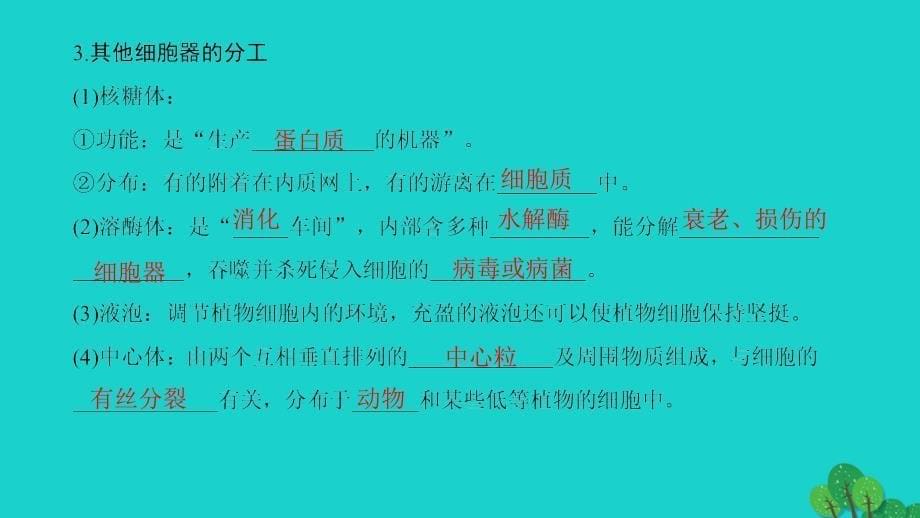 2016-2017学年高中生物第3章细胞的基本结构第2节细胞器--系统内的分工合作第1课时细胞器之间的分工课件新人教版必修1.ppt_第5页