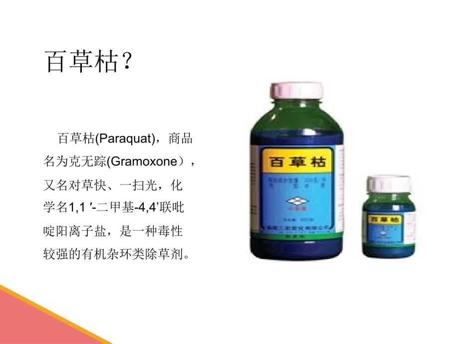 百草枯中毒护理查房.ppt_第2页