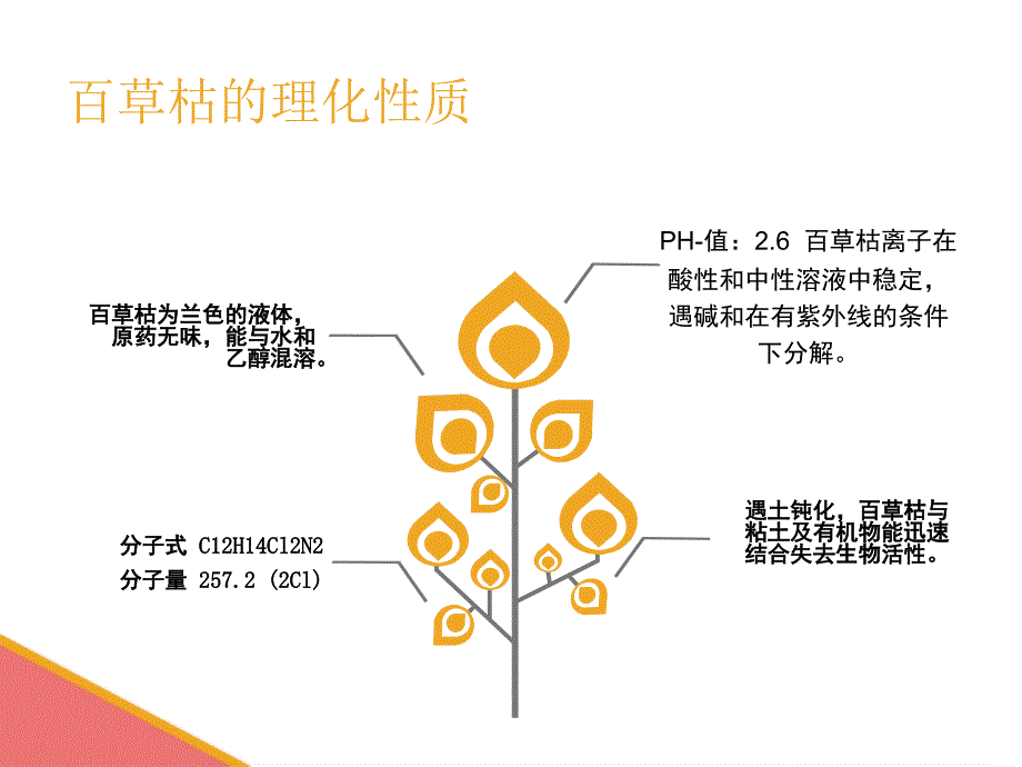 百草枯中毒护理查房.ppt_第3页