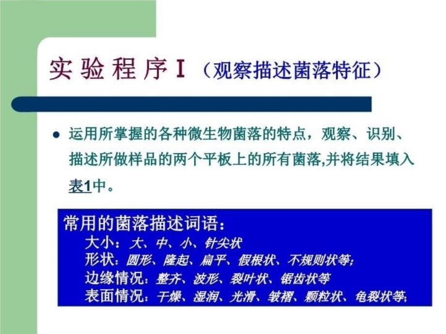 最新实验4微生物菌落的观察PPT课件_第5页