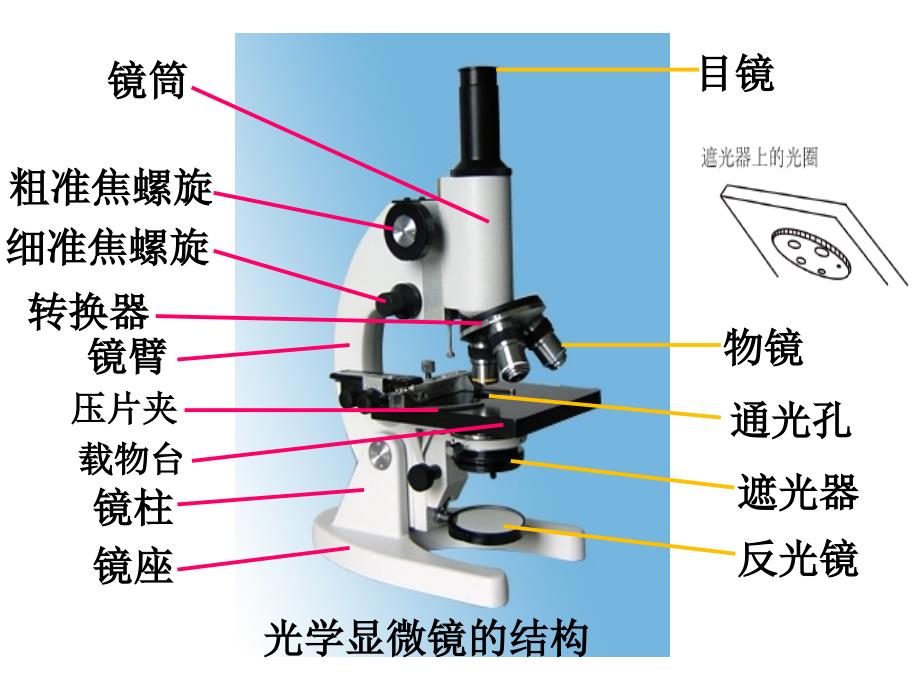 必修一12细胞的多样性和统一性_第3页