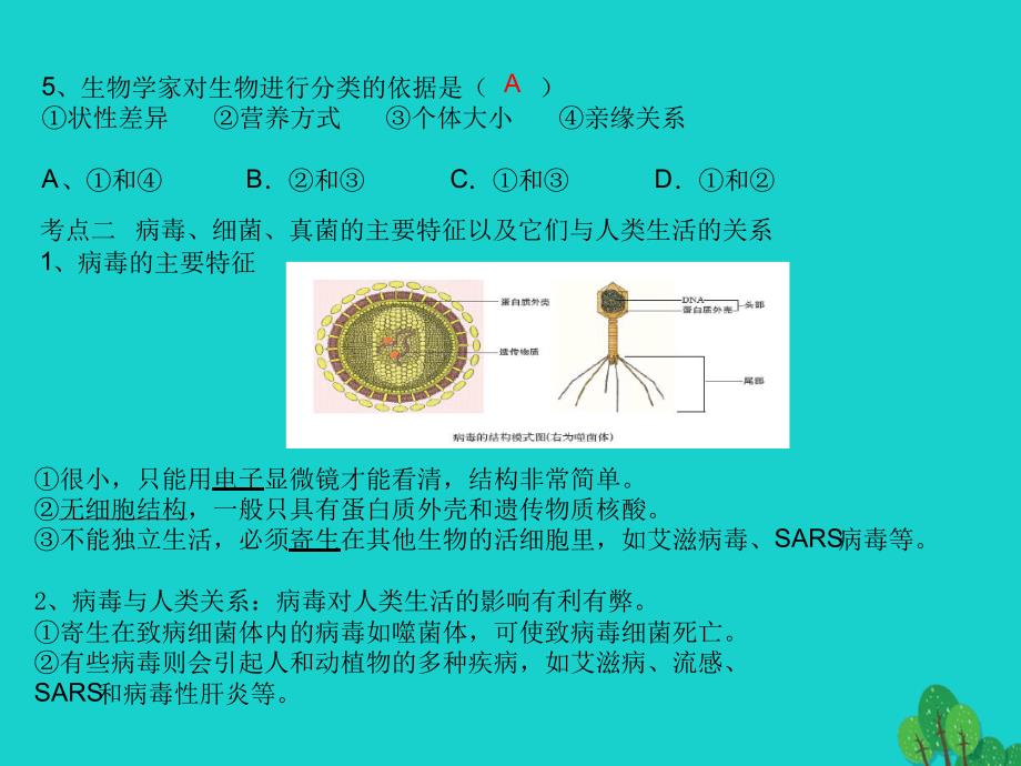 中考生物第七部分生物的多样性第1讲微生物的主要特征课件_第4页