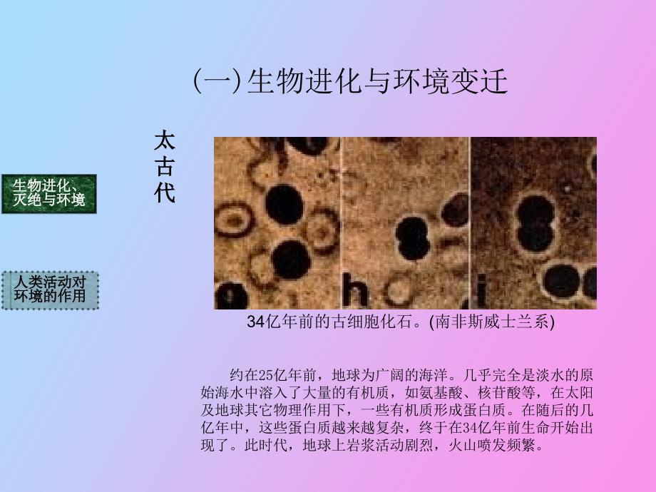 自然地理要素变化与环境变迁wjj_第4页