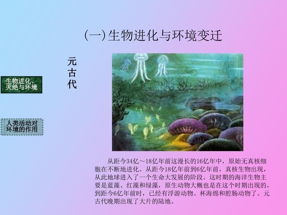 自然地理要素变化与环境变迁wjj_第5页