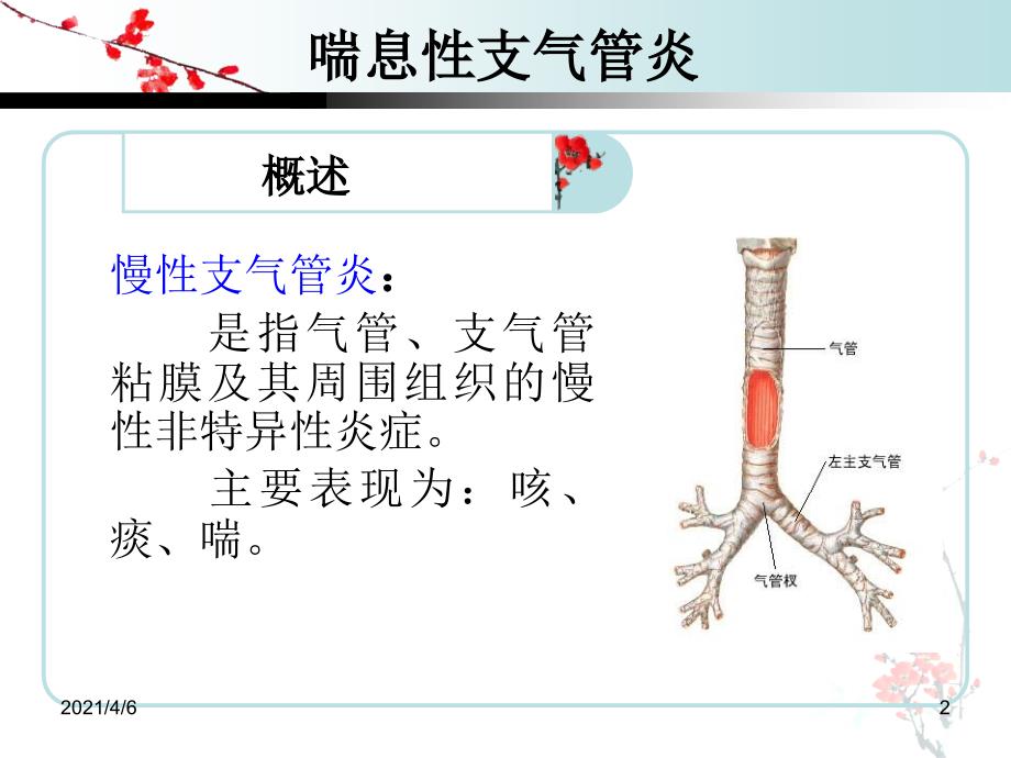 慢性支气管炎的护理查房文档资料_第2页