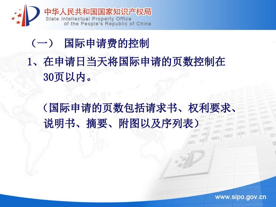 PCT专利申请的实用技巧_第4页