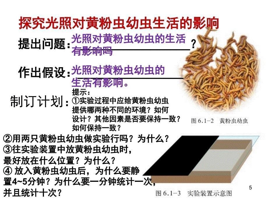 环境对生物的作用.PPT课件_第5页