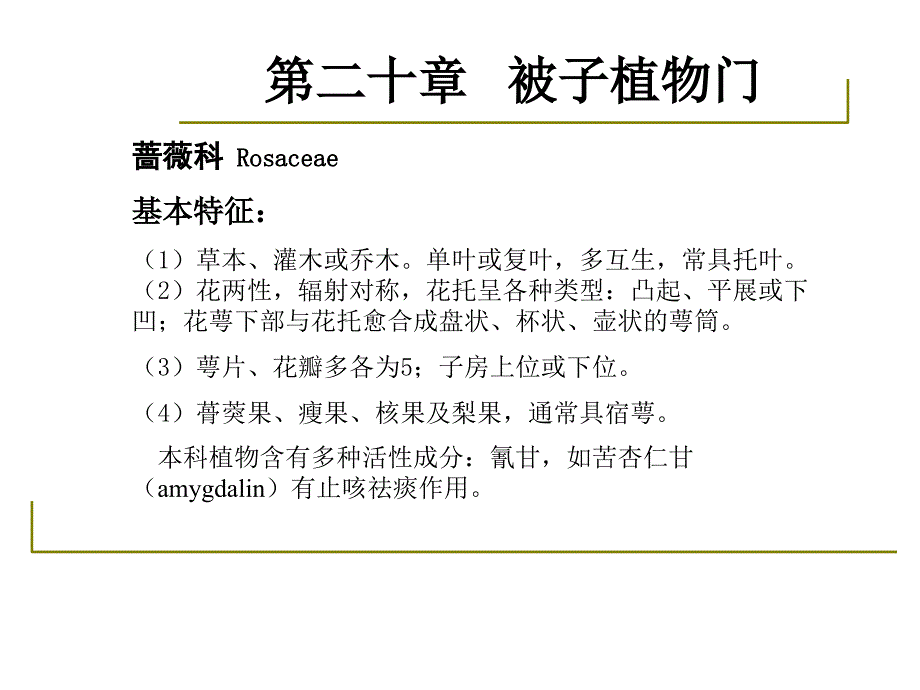 1000148药用植物学与生药学23被子植物双子叶植物离瓣花亚纲蔷薇科豆科1002_第3页