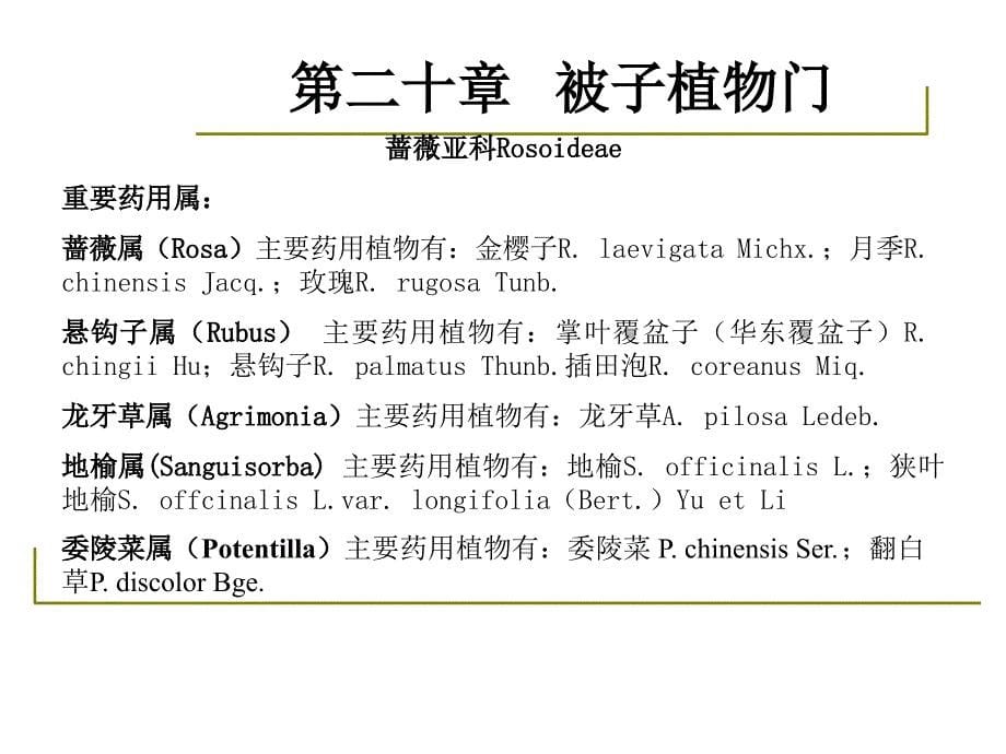 1000148药用植物学与生药学23被子植物双子叶植物离瓣花亚纲蔷薇科豆科1002_第5页