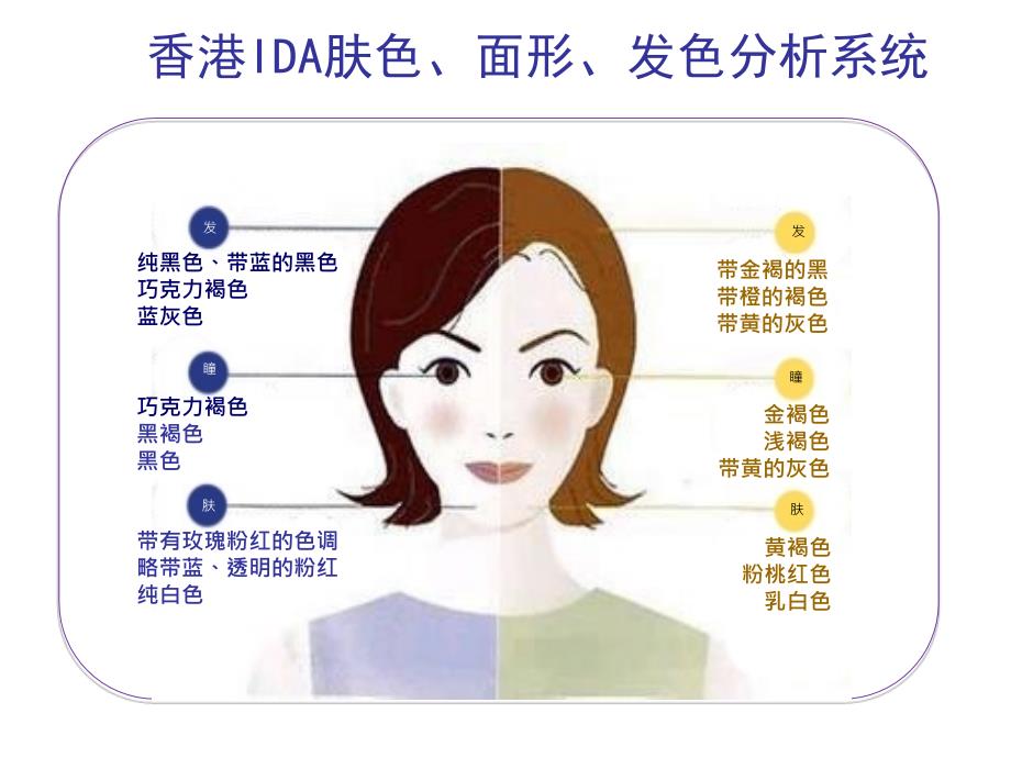 染发流程与操作技巧ppt课件_第1页