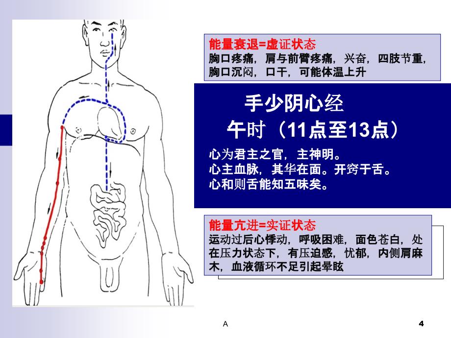 十二经络走向图.ppt_第4页