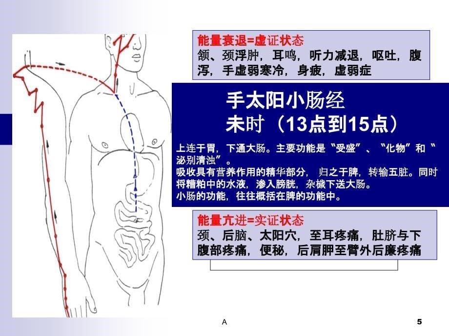 十二经络走向图.ppt_第5页