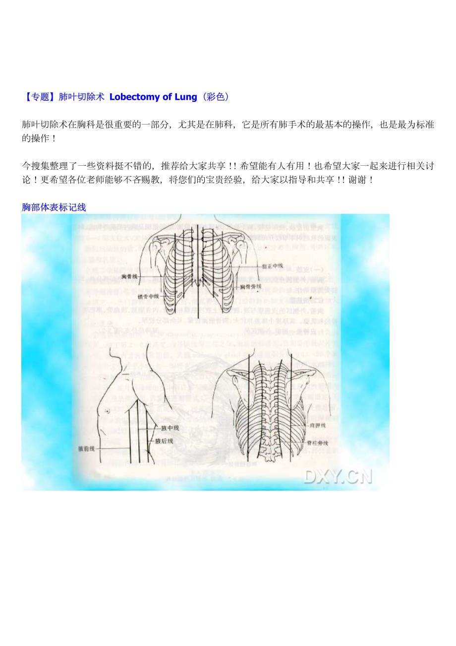 肺叶切除术解剖及步骤.pdf_第1页