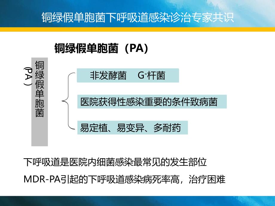 铜绿假单胞菌诊治专家共识_第4页