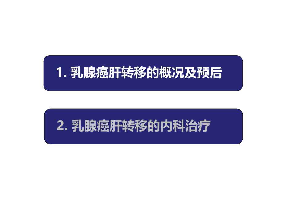 乳腺癌肝脏转移内科治疗专家片_第3页