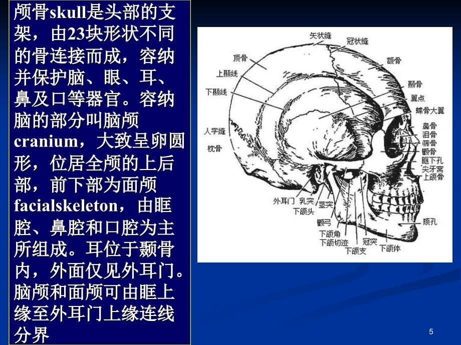 常见疾病病因与治疗方法颅颈区畸形参考PPT_第5页