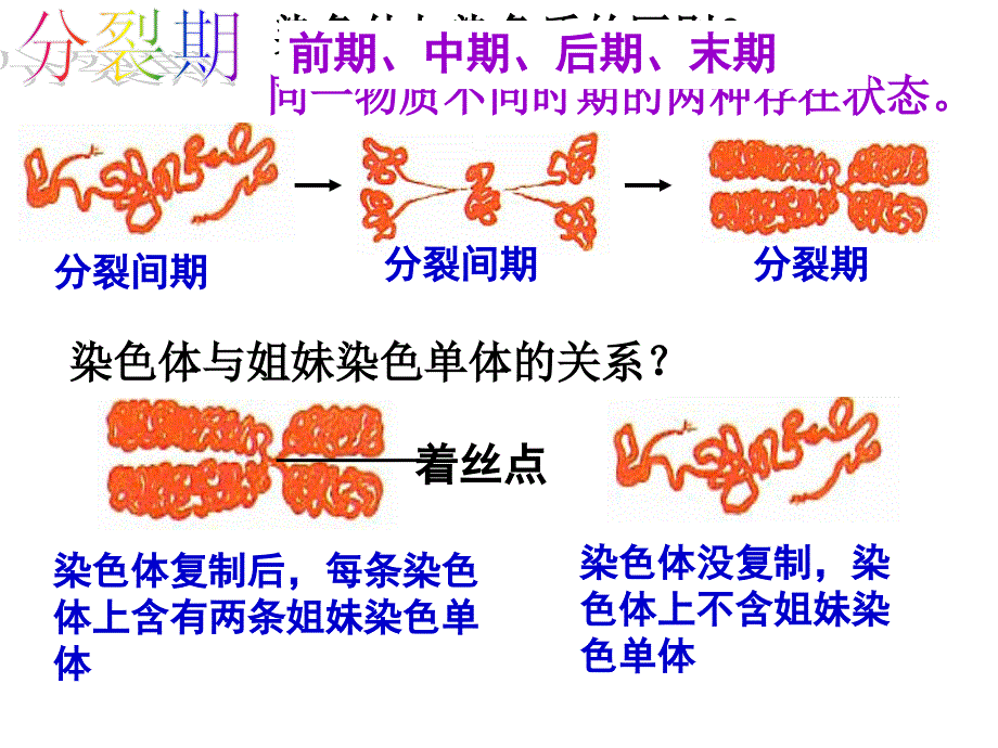 细胞的生命历程_第2页