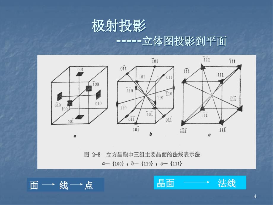 织构入门基础ppt课件_第4页