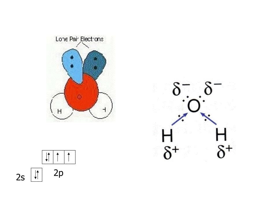 江南大学食品化学课件.ppt_第5页