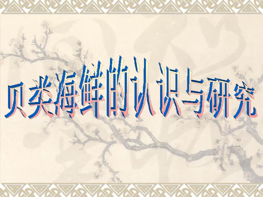 贝类海鲜的认识与研究_第1页
