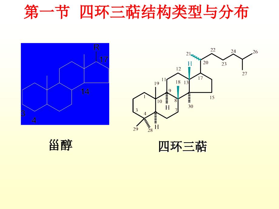 第八章三萜及其苷_第2页