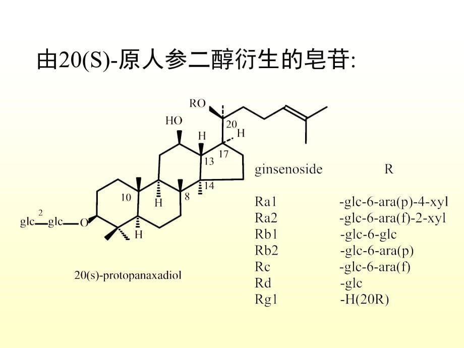 第八章三萜及其苷_第5页