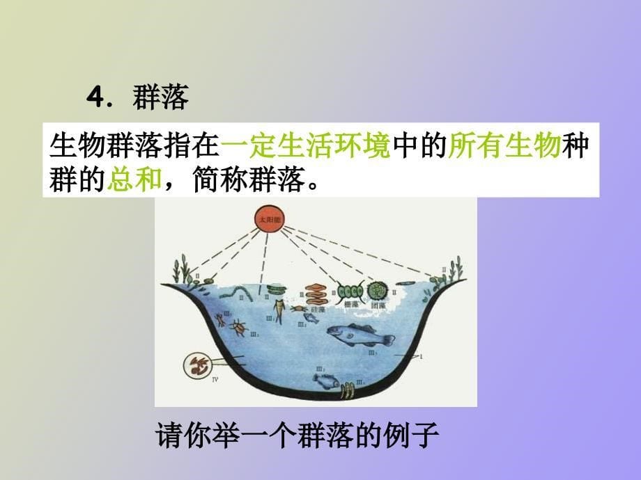 种群生物群落生态系统和生物圈_第5页