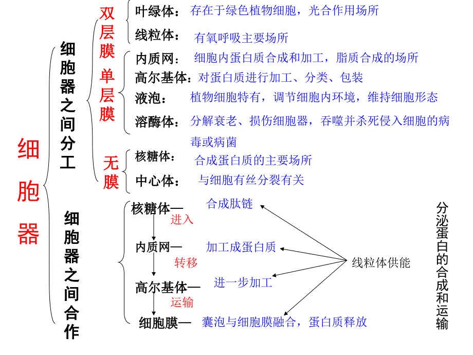 高中生物必修1第三章细胞的基本结构复习总结课件PPT_第3页