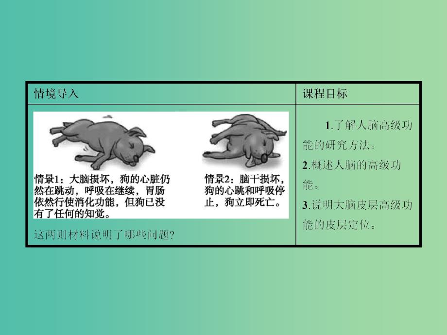 高中生物 1.3.3人脑的高级功能课件 中图版必修3.ppt_第2页