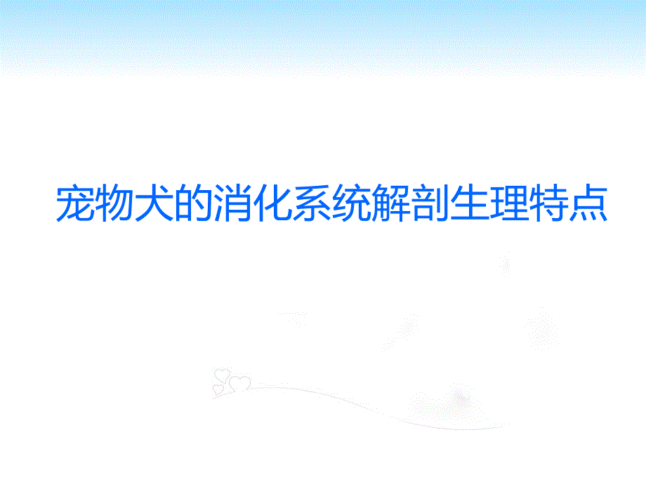 宠物犬消化系统解剖生理特点汇总ppt课件_第1页