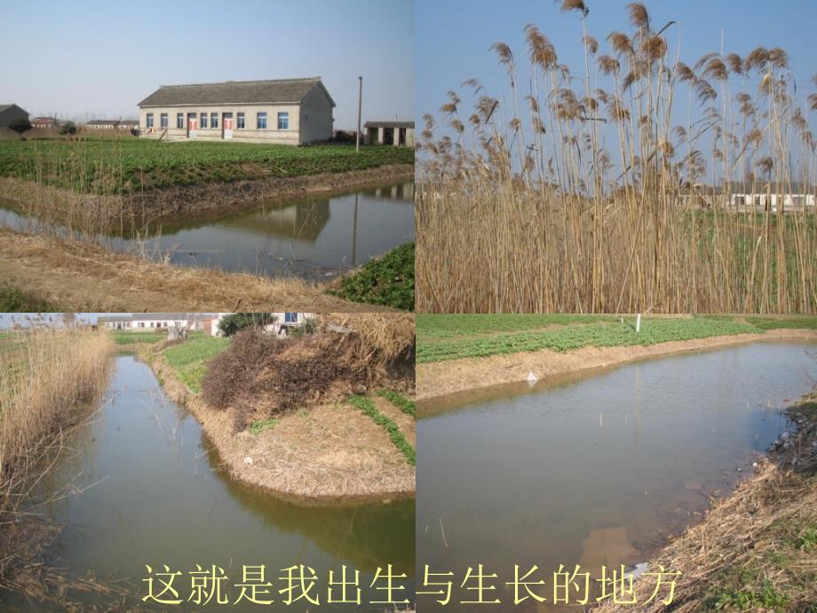 告诉你们一个大家庭场景_第3页