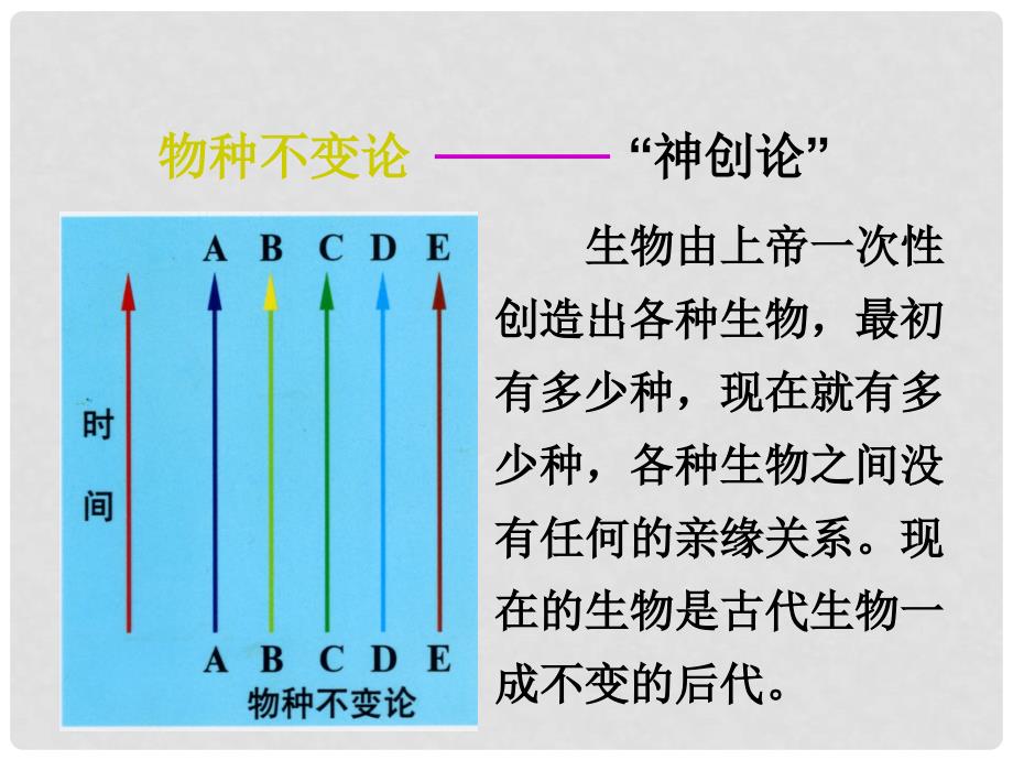 九年级科学下册 1.4 生物的进化（二）课件 （新版）浙教版_第3页