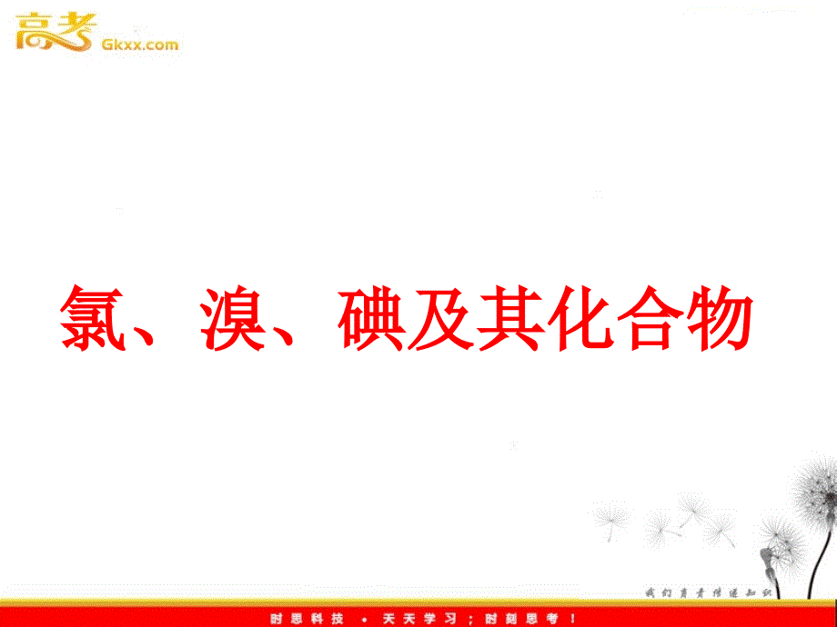 高三化学《氯、溴、碘及其化合物》课件 苏教版_第2页