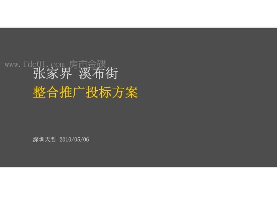 张家界溪布街整合推广投标方案_第2页