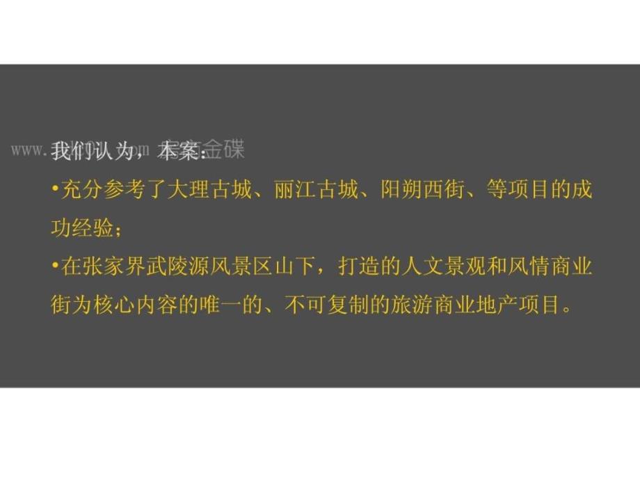 张家界溪布街整合推广投标方案_第4页