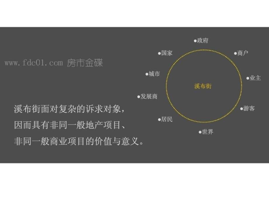 张家界溪布街整合推广投标方案_第5页