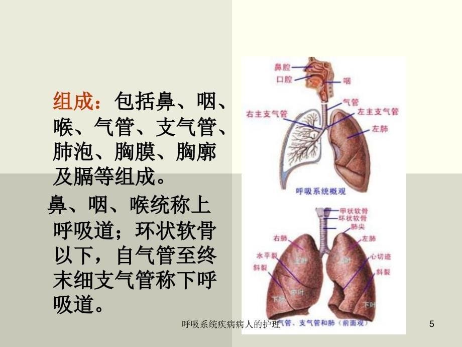 呼吸系统疾病病人的护理课件_第5页