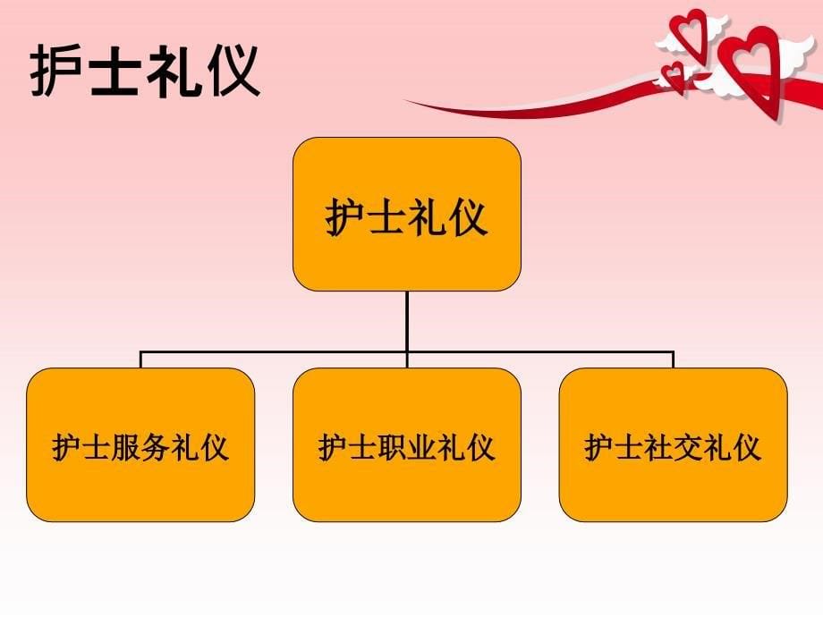 甲医院护士礼仪培训.ppt_第5页