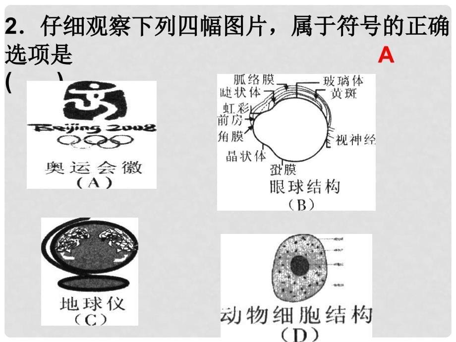 浙江省瑞安市安阳镇上望一中八年级科学下册 第一章《粒子的模型与符号》复习课件 浙教版_第5页