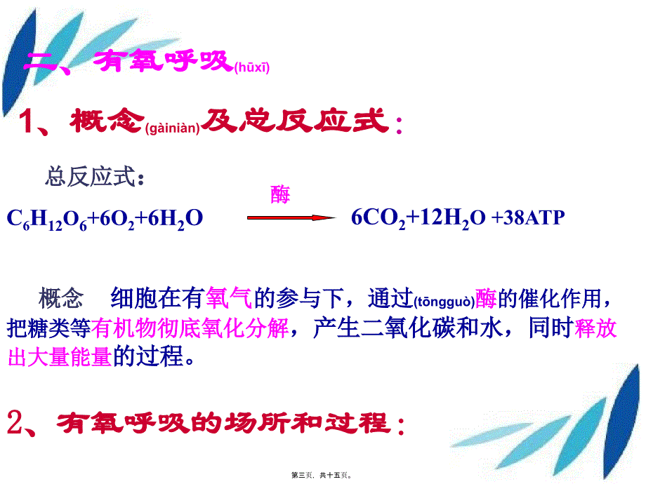 202X年呼吸作用过程(精)_第2页