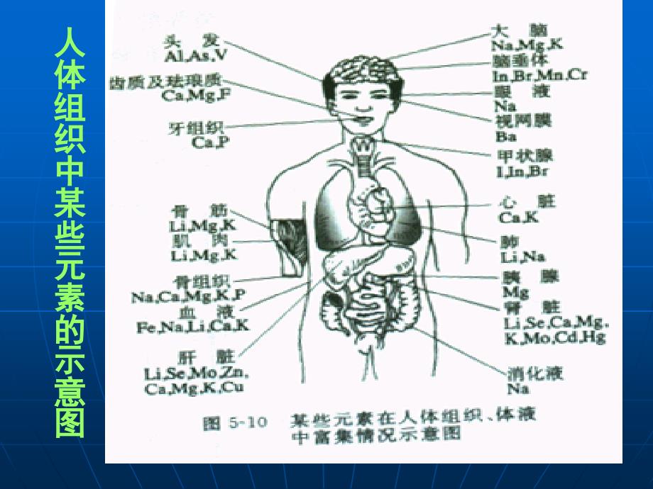 课题2化学元素与人体健康_第4页