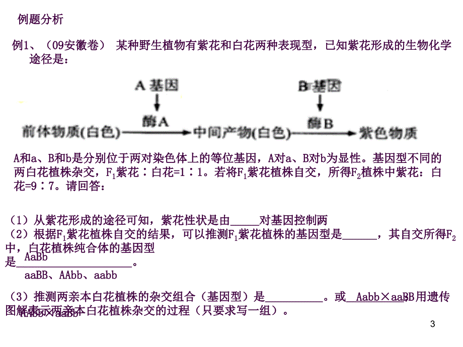 非等位基因间的相互作用ppt课件_第3页