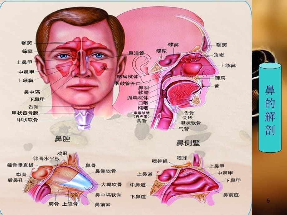 耳鼻喉科常见急症处理ppt课件.ppt_第5页