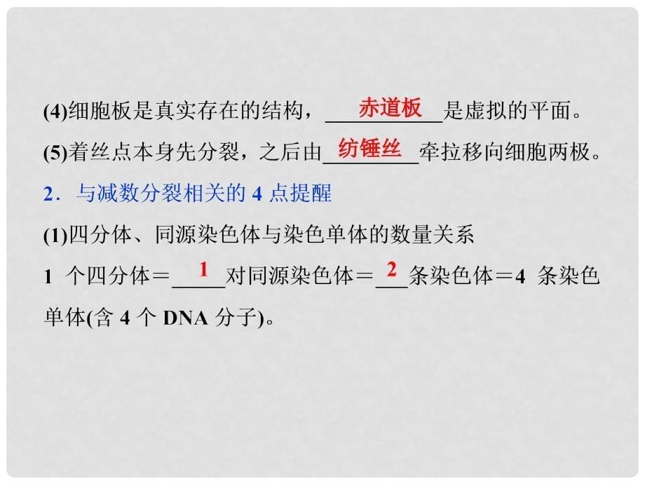 高考生物考前冲刺复习 第1部分 专题突破方略 专题五 细胞的生命历程（含减数分裂）课件_第5页