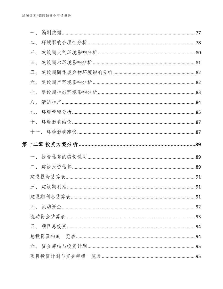 铝酸钠资金申请报告【范文参考】_第5页