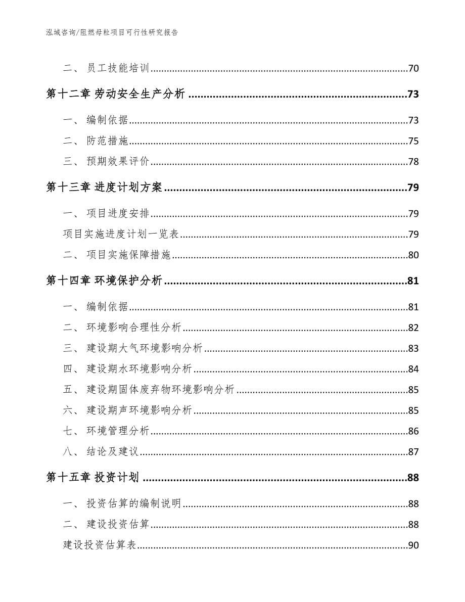 阻燃母粒项目可行性研究报告（参考范文）_第5页