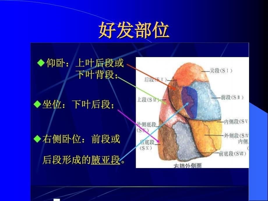 中医内科学课件：肺痈_第5页