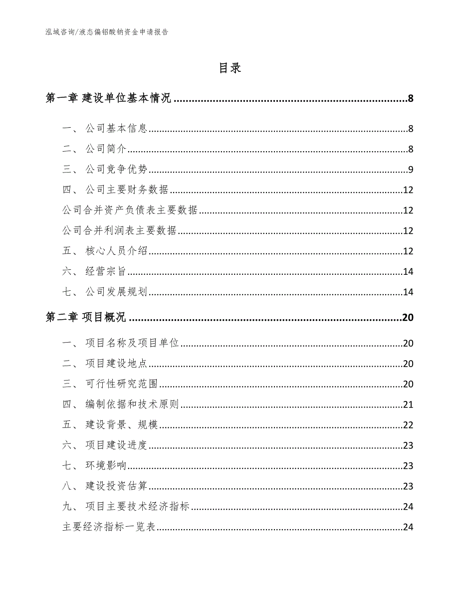 液态偏铝酸钠资金申请报告（范文）_第1页