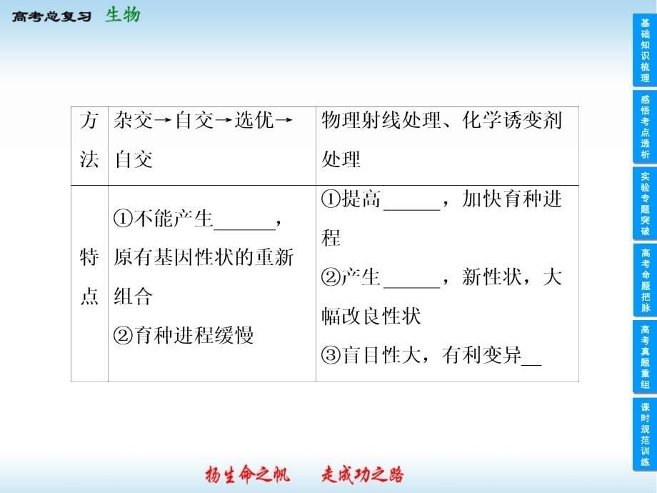 高中生物一轮复习课件(人教版).ppt_第5页